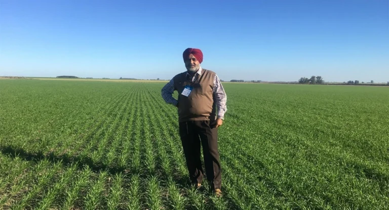 Crop Stand Visuals5